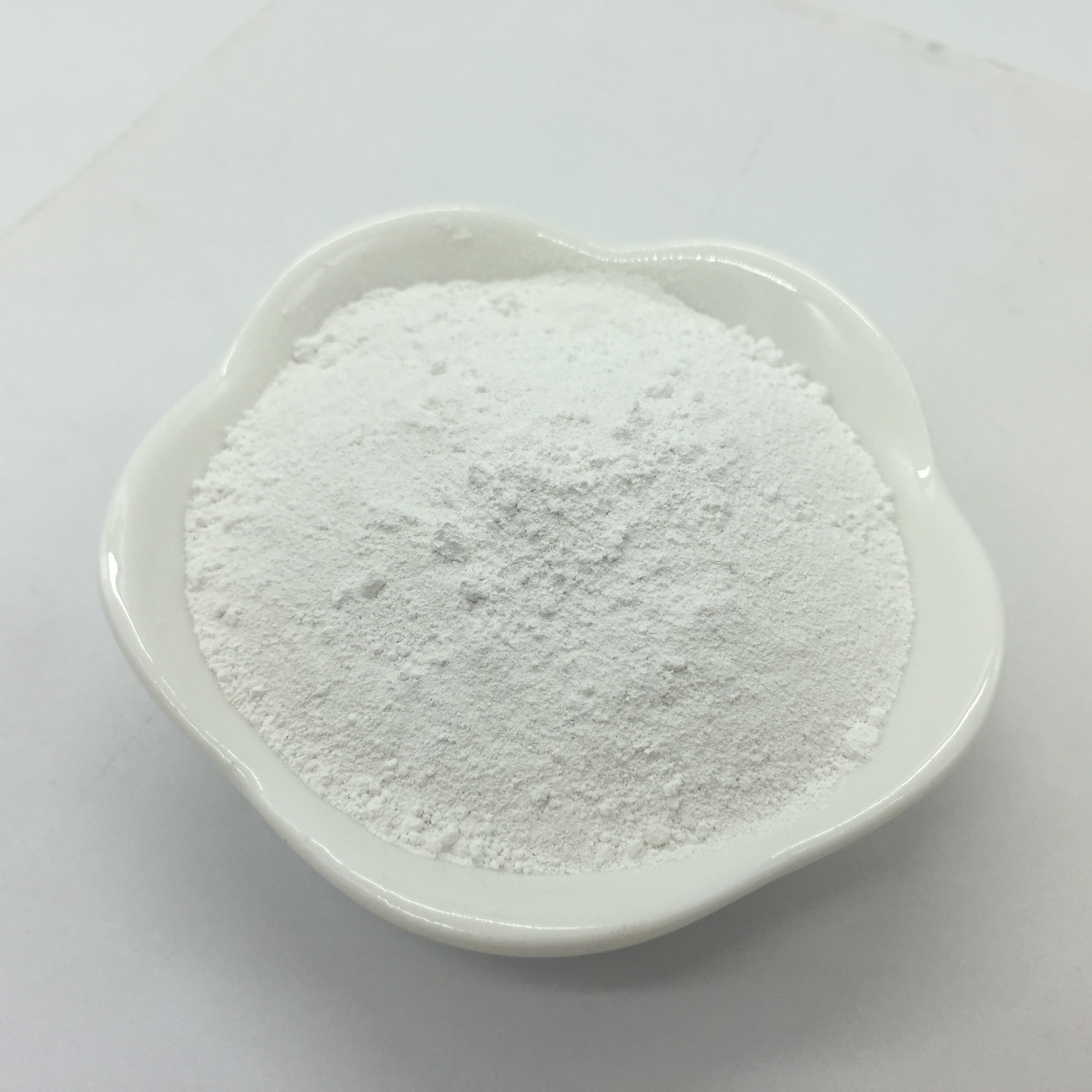 Opacifiers (White Pigments) Application: Paint
