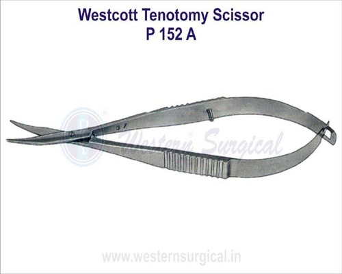 Westcott Tenotomy Scissor - Stainless Steel, Standard Size, Silver Color | Blunt Tip, Polished Surface Finish, Portable Manual Instrument