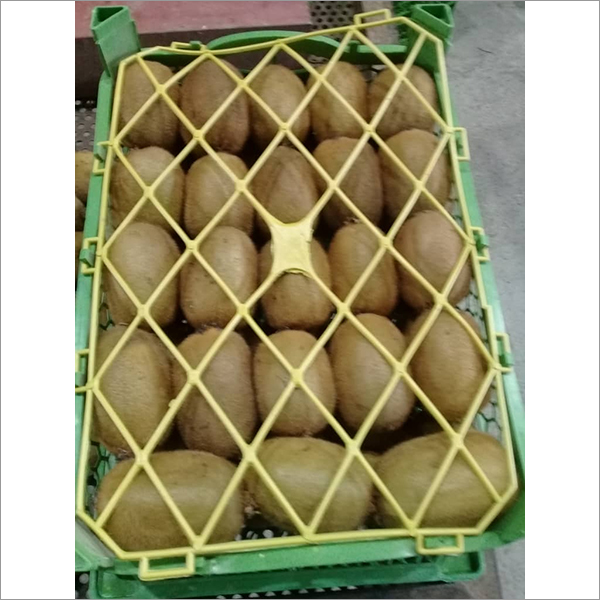 Kiwi Fruit - Plastic Medium Size , Brown Round Shape With Smooth Texture