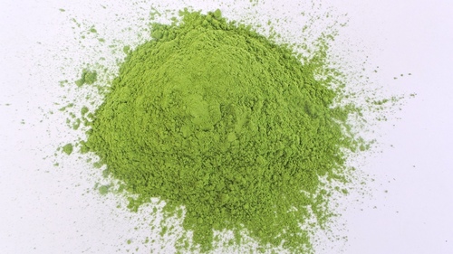 व्हीटग्रास पाउडर (खुली भूमि की खेती)