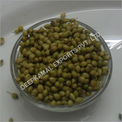 Corriander Seeds