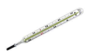 Laboratory Thermometer - Mercury, 270 mm Length | Colorless Prismatic Capillary, -10 to +100°C Measuring Range, Non-Toxic Glass, Easy to Clean