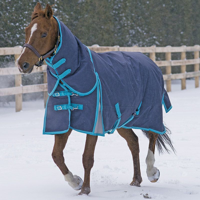600d Rug(turnout)