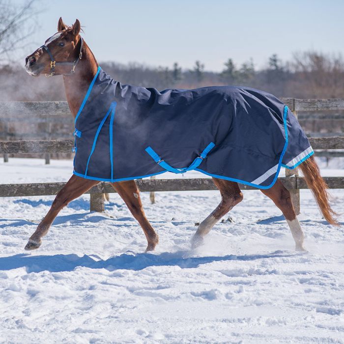 600d Rug(turnout)
