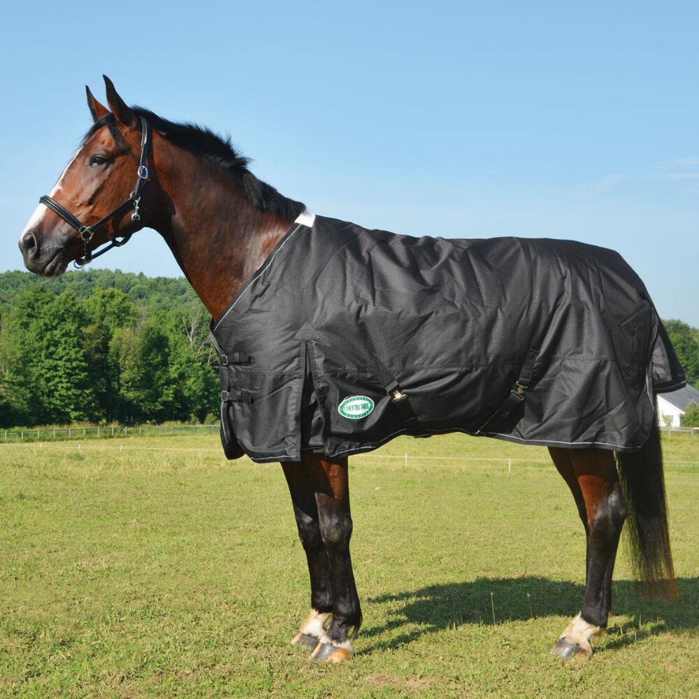 600d Rug(turnout)