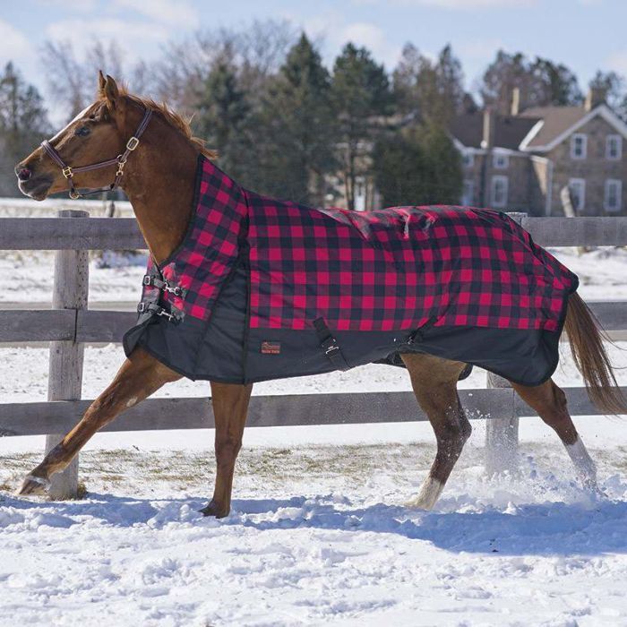 600d Rug(turnout)