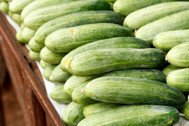 Fresh Cucumber