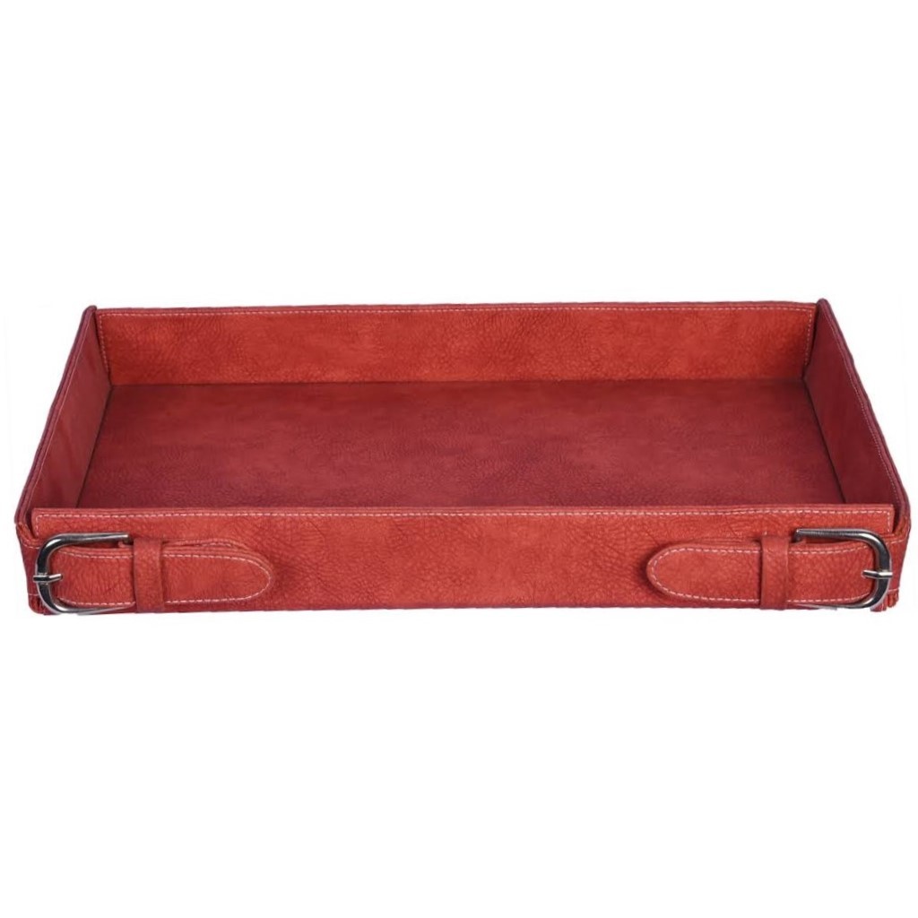 Red Coin Tray