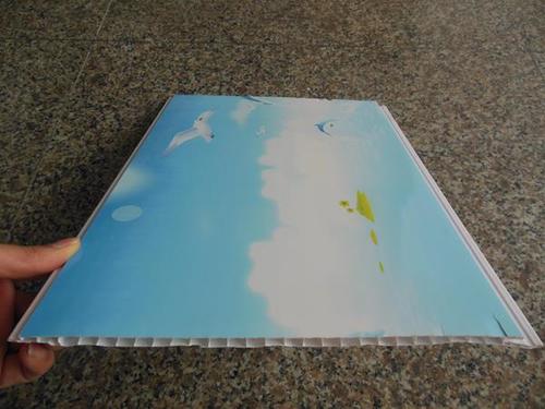 ध्वनिक पीवीसी छत बोर्ड