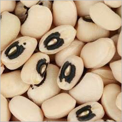 Black Eyed Peas - Small Kidney-Shaped White Legumes | 10-12% Moisture Content, Bulk Packaging, Store in Cool and Dry Conditions