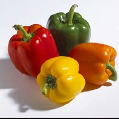 Fresh Capsicum - Oval and Round Fresh Produce | 100% Natural, Colorful Variety: Green, Orange, Red, Yellow, Shelf Life 1 Week
