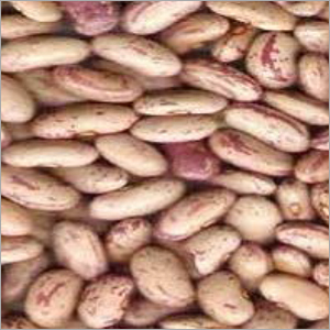 राजमा