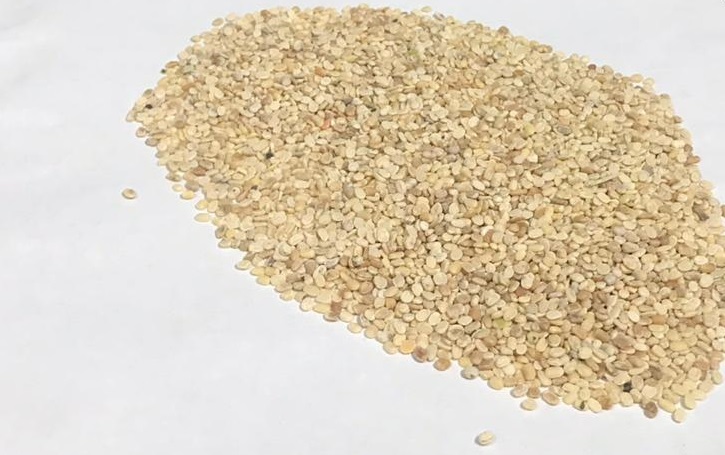 Urad Dal Mini Mogar And Tukdi