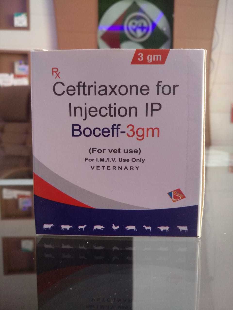 Ceftriaxone Injection - 3.0 Geq. To 3000 Mg | Antibiotic Powder For Cattle, Dogs, Goats, Poultry