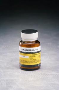 Kanamycin Sulphate Ibi02120