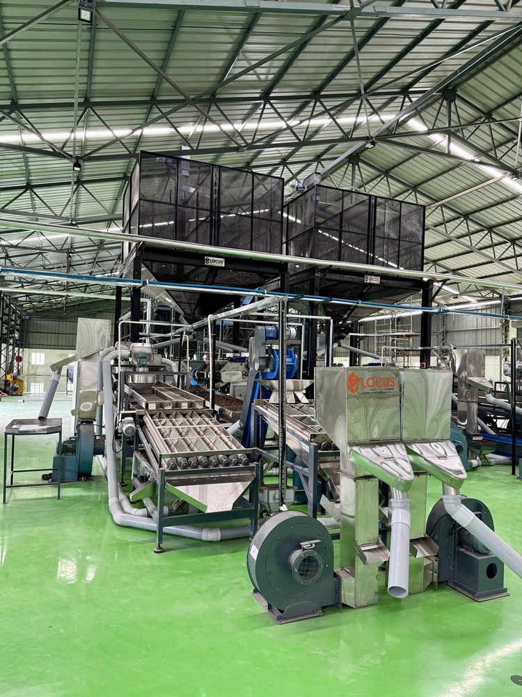 काजू स्कूपिंग मशीन