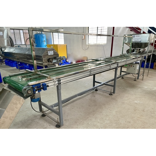 Inspection Conveyor - Durable Steel Build, Adjustable Lengths for Versatile Applications