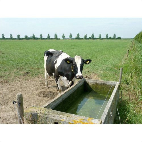 Liquid Calcium Carbonate Supplements Efficacy: Promote Healthy & Growth