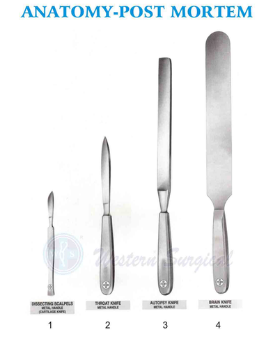 एनाटॉमी-पोस्ट मॉर्टम