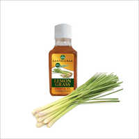 एक प्रकार का पौधा