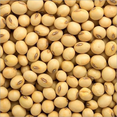 Natural Soyabean - Whole Organic Soybeans, 99% Purity | Zero Adulterant Seeds for Health-Conscious Diets, Bulk Orders Accepted