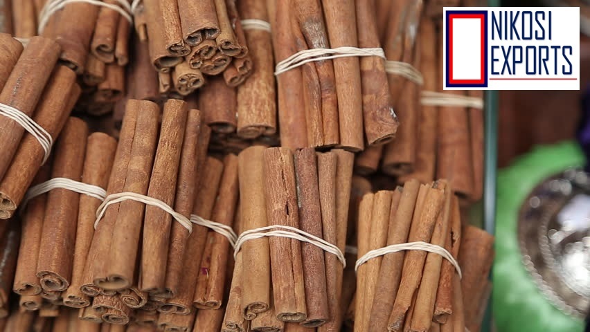 Gray Dalchini Cinnamon