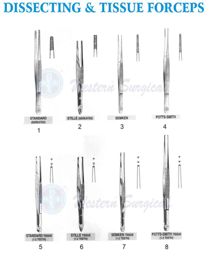 Silver SS Dissecting & Tissue Forceps For Surgical Use
