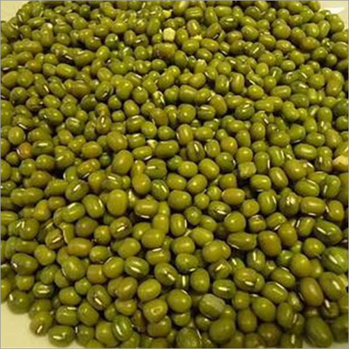 Green Moong Dal - Legumes, Small Size, Round Shape | Bulk Packaging, 1 Year Shelf Life, Vibrant Green Color