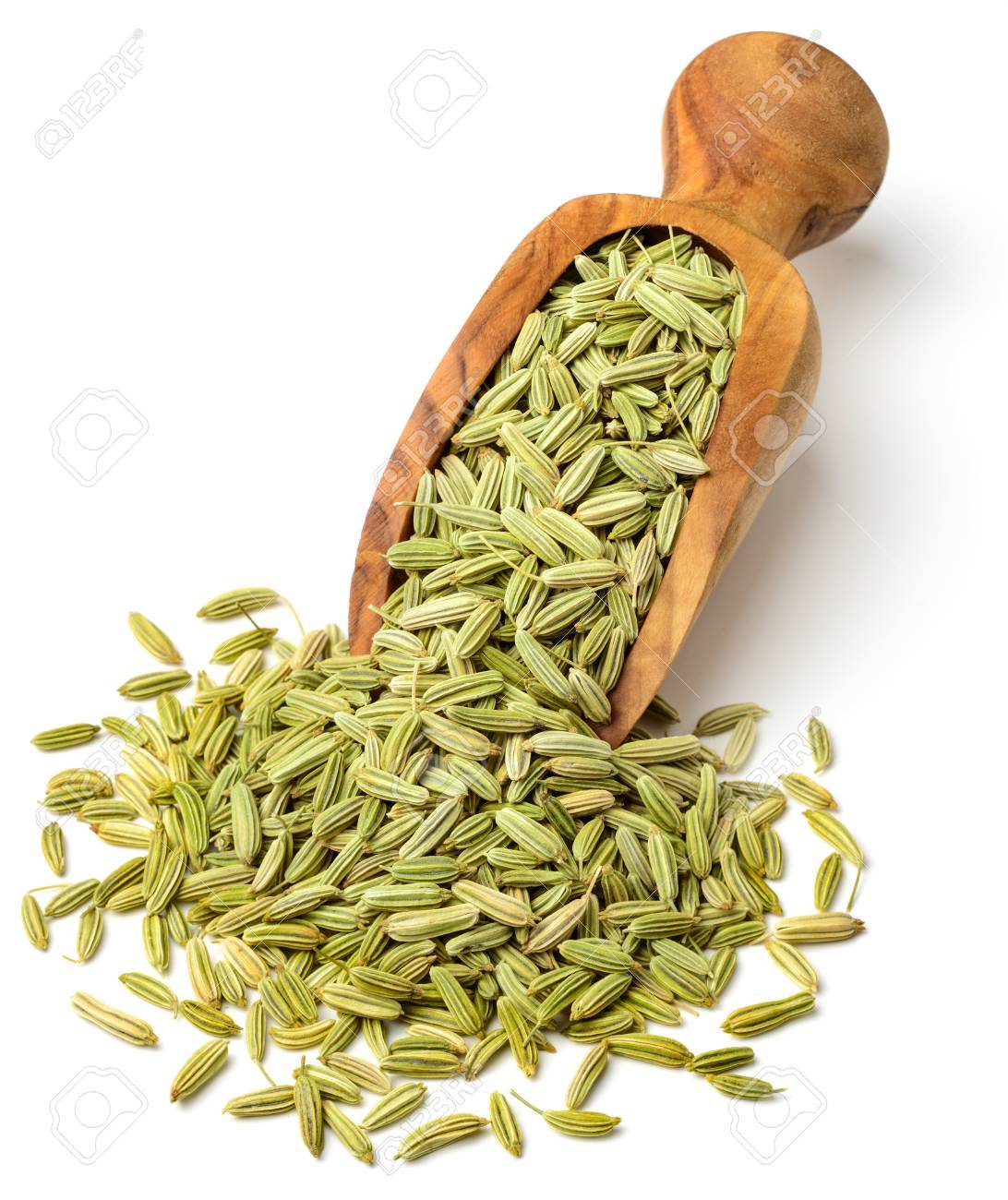 Green Fennel Spice