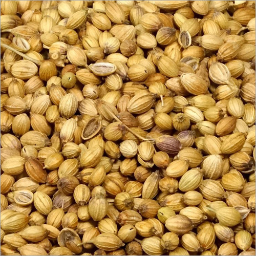 Coriander Seeds - Round Spice | Store in Dry Place, Ideal for Culinary Uses, Enhance Flavors with Aromatic Essence