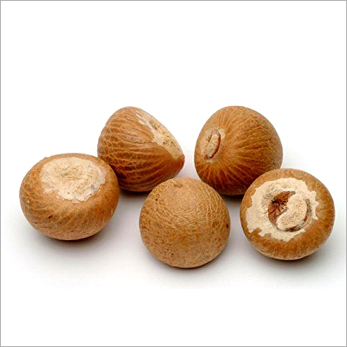 Common Fresher Betel Nut