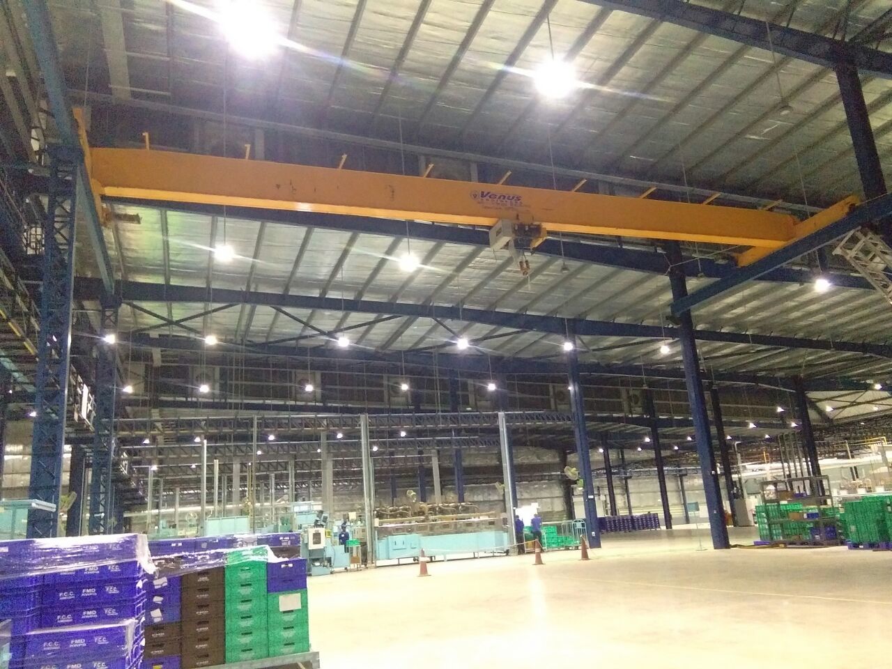 Single Beam Eot Crane By Venus Engineers