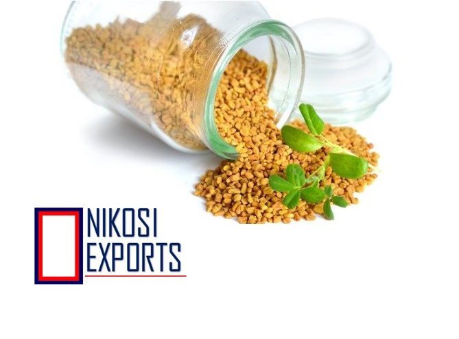 Fenugreek Seeds - 50 Kg Pack | Unadulterated, High Germination Rate, Hygienically Processed, Sweet Aroma, Yellow Color, Grade A, Shelf Life 3 Months