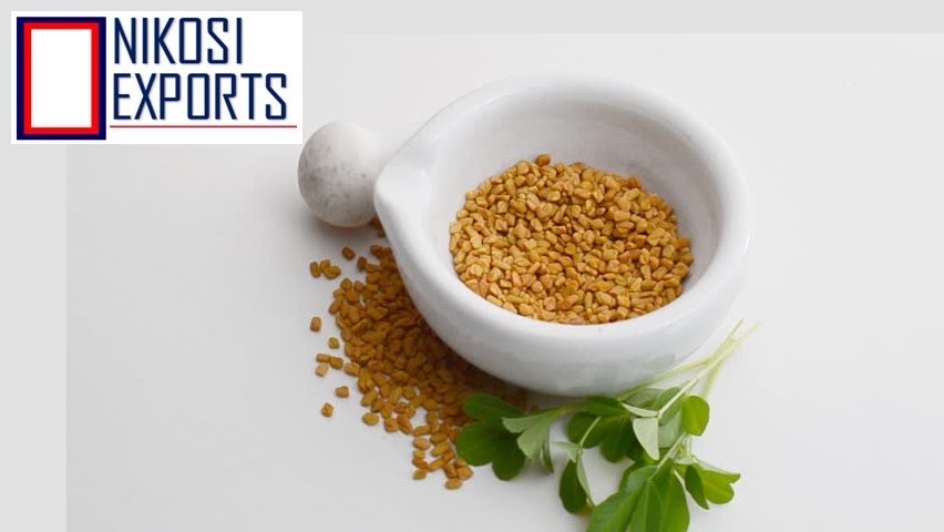 Fenugreek Seeds - 50 Kg Pack | Unadulterated, High Germination Rate, Hygienically Processed, Sweet Aroma, Yellow Color, Grade A, Shelf Life 3 Months