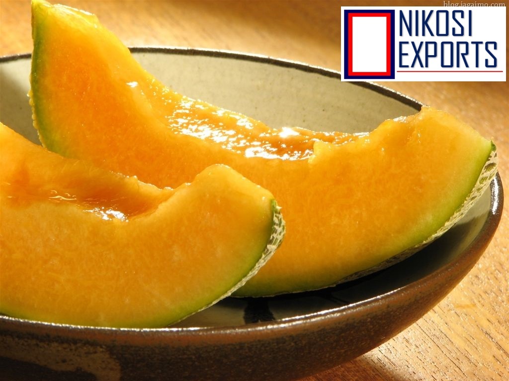 Honey Melon Origin: Tamilnadu