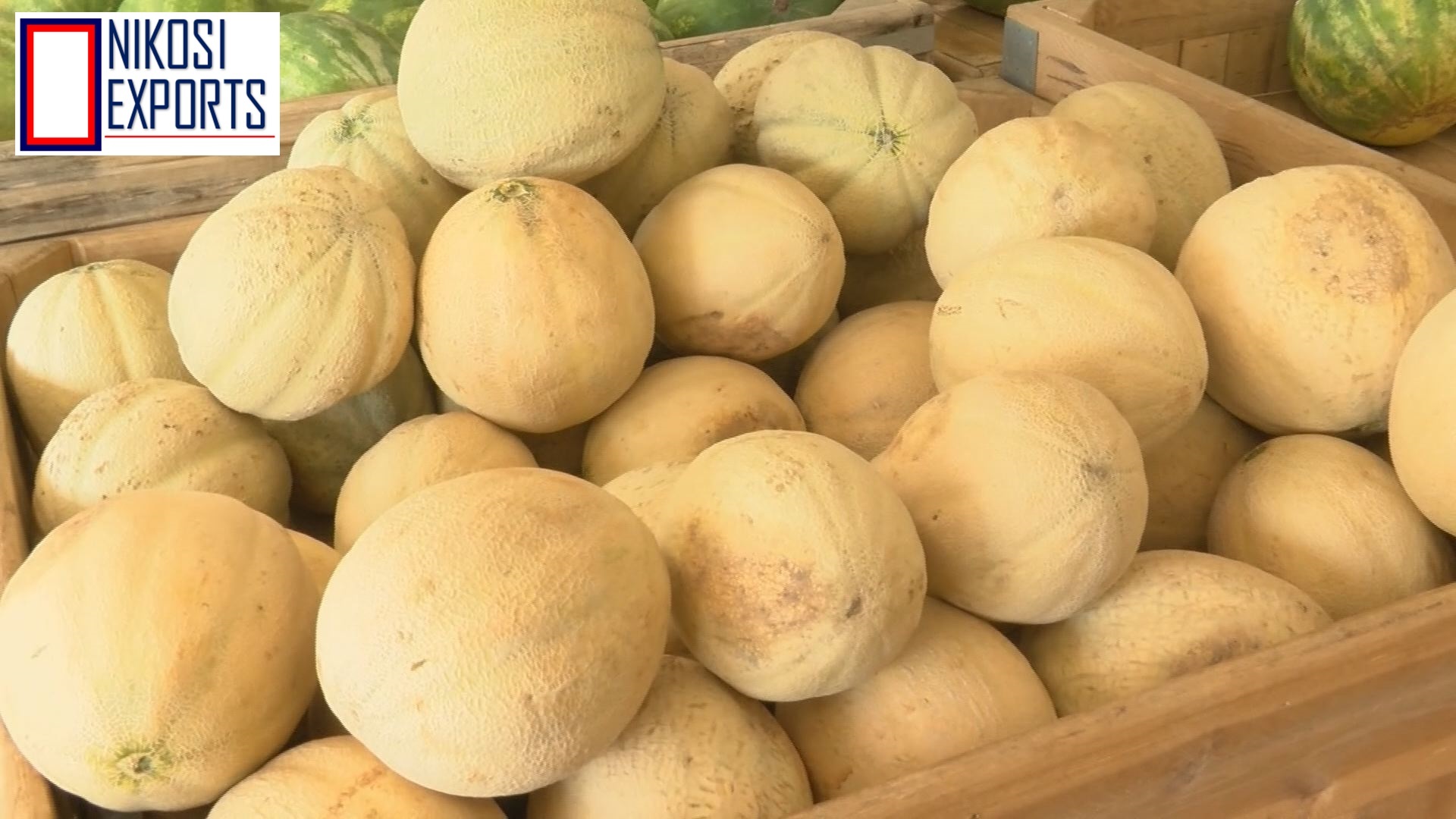 Honey Melon Origin: Tamilnadu
