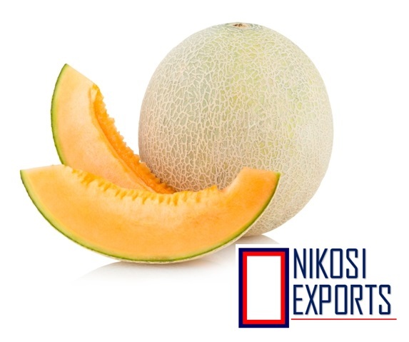 Honey Melon Origin: Tamilnadu