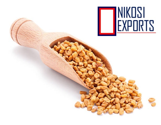 Fenugreek - Hygienically Processed 50 Kg, A Grade Clean Seeds With High Germination Rate, Aromatic Yellow-brown Seed Pods
