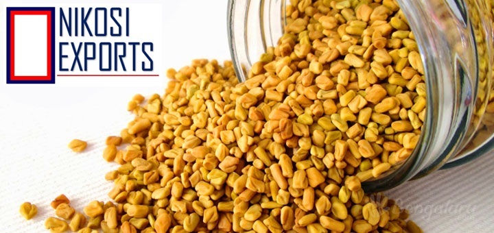 Light Yellow Indian Fenugreek