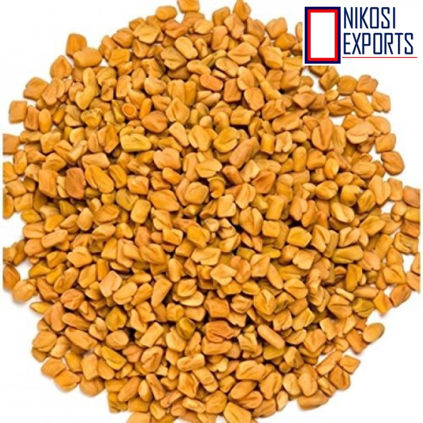 Light Yellow Indian Fenugreek