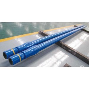 Downhole Motor