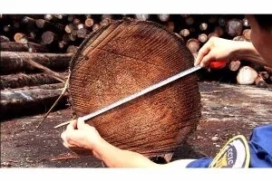 प्री-प्रोडक्शन इंस्पेक्शन