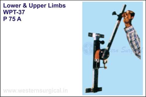 Lower & Upper Limbs