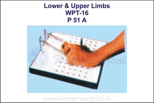 निचले और ऊपरी अंग