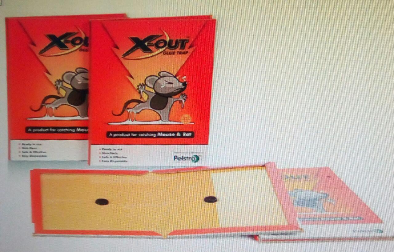 Mouse Glue Trap - Small Size - Feature: Disposable