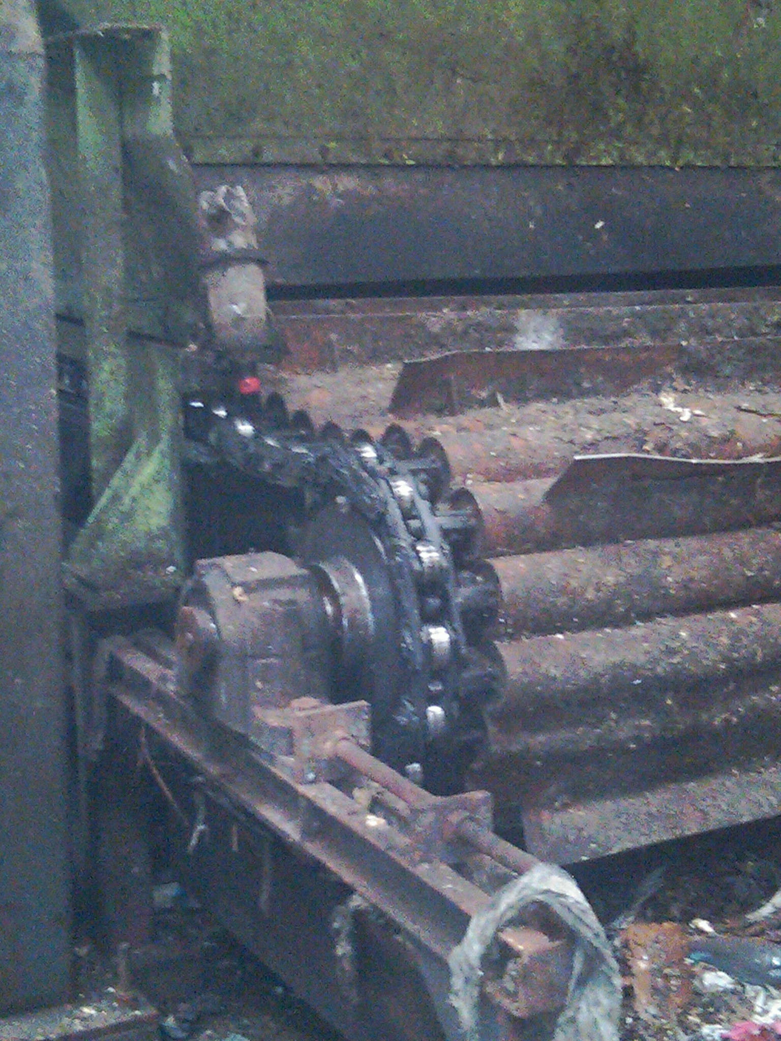 Steel Chain Conveyors Size: All Size