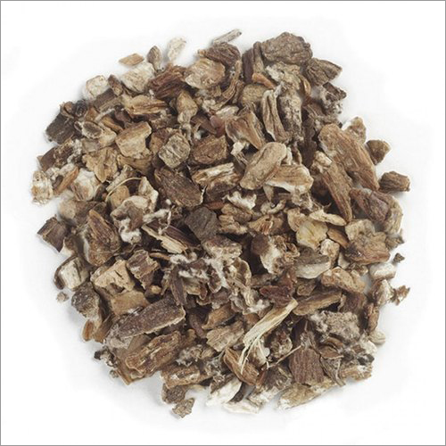 Dried Burdock Root