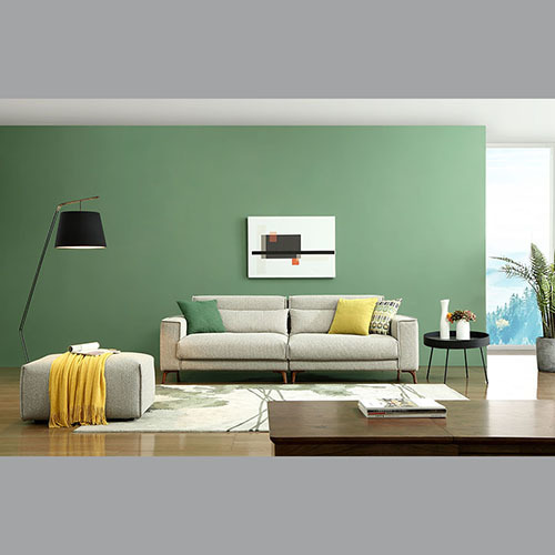 Designer Leather Sofa Set