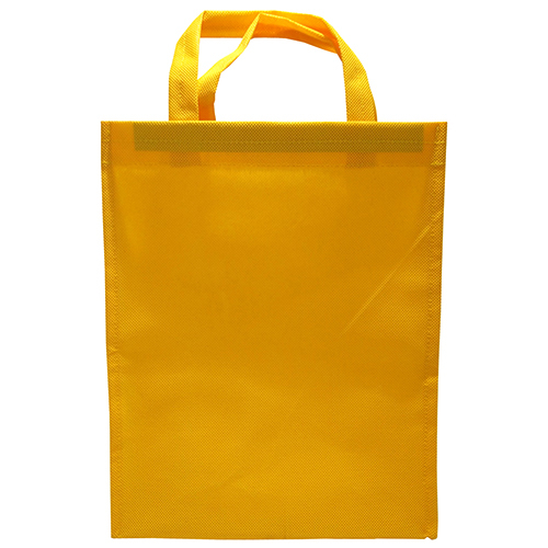 सादा शॉपिंग कैरी बैग