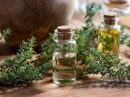 Thyme Oil Cas No: 8007-46-3